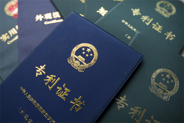 專利兩個單位怎么標