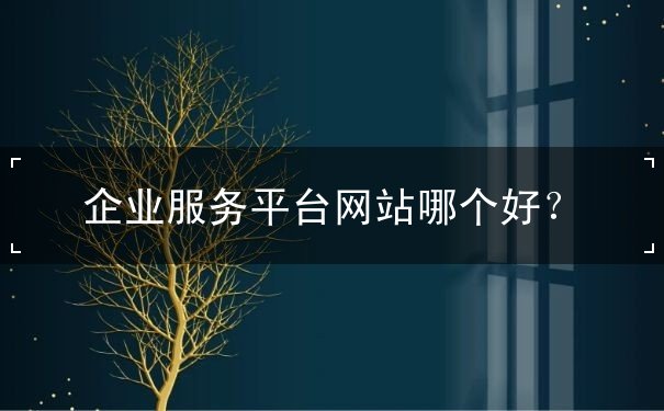 企業(yè)服務(wù)平臺網(wǎng)站