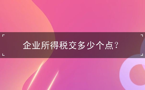 企業(yè)所得稅交多少個點？