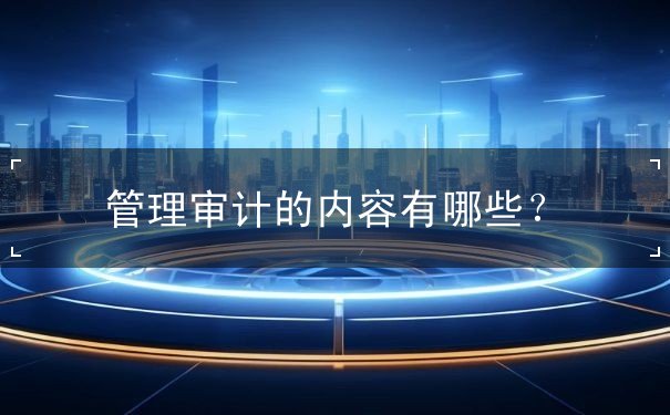 管理審計的內(nèi)容