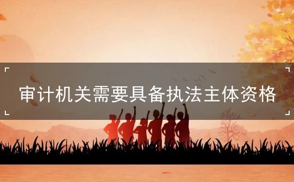 審計(jì)機(jī)關(guān)需要具備執(zhí)法主體資格