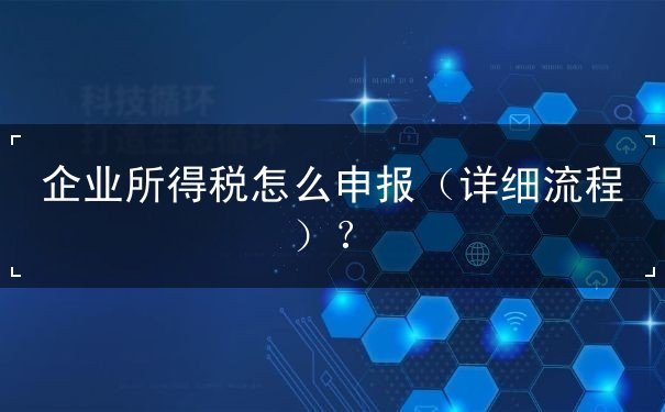 企業(yè)所得稅怎么申報